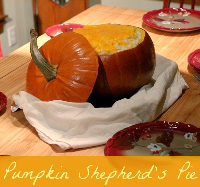 pumpkin-shepherds-pie-6298031